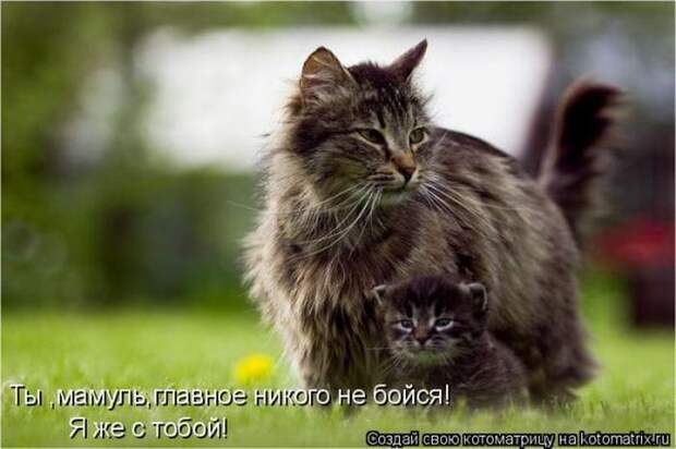 Мысли вслух :)