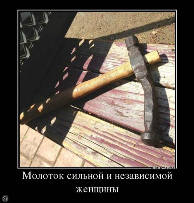 Доминируй, властвуй, урожай! 13