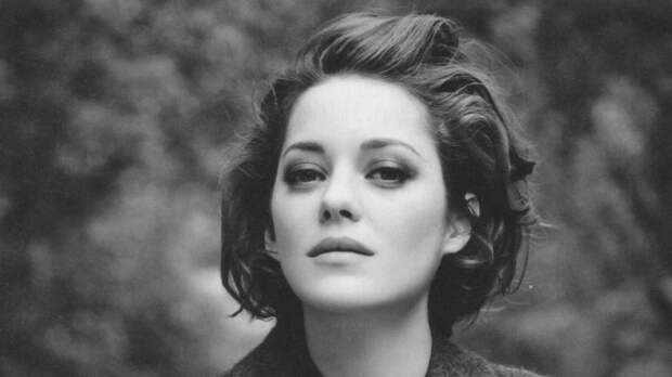 38738_marion_cotillard