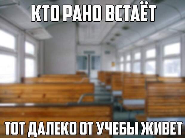 Картинки со смешными подписями картинки, прикол, юмор