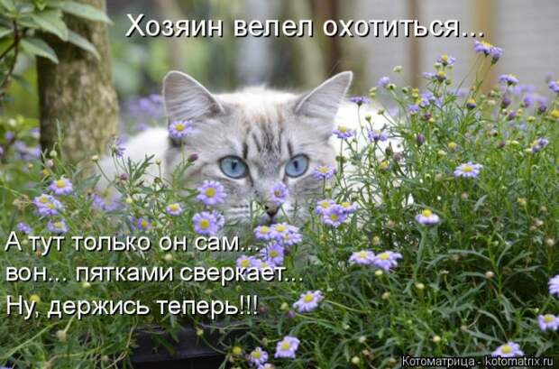 Мысли вслух :) №150118