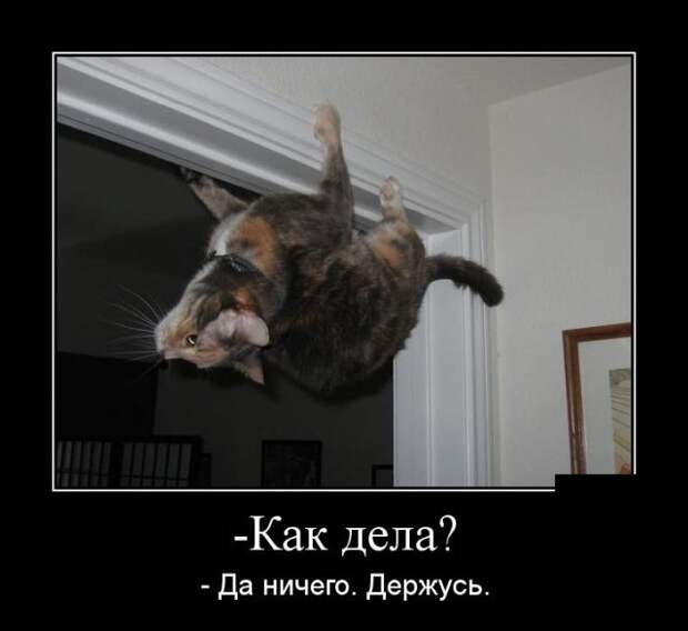 Демотиваторы
