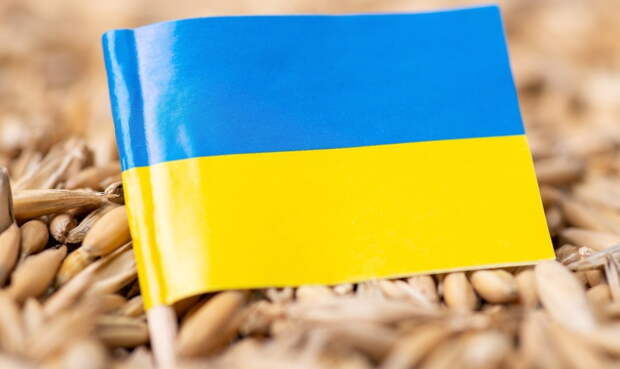 Министр экономики Украины Юлия Свириденко назвала хорватский маршрут «популярным», несмотря на то, что он...