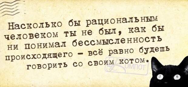 Прикольные фразочки в картинках №8414
