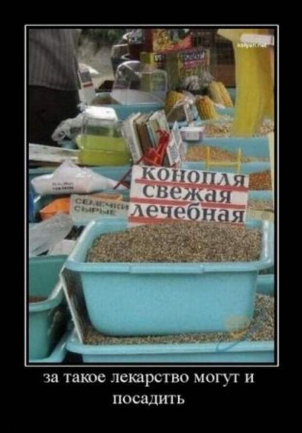 Много разных приколов в демотиваторах.