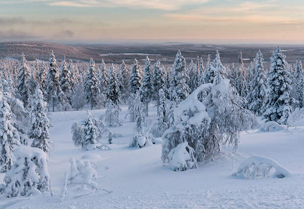 Стеклянные иглу - отель в Лапландии
