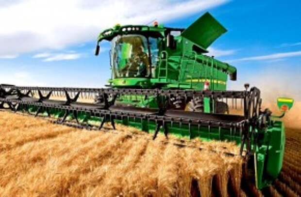 аграрии сельхоз пшеница
