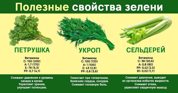 польза зелени укропа