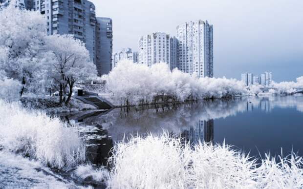 Сочетание природы с высотными зданиями. Киев.