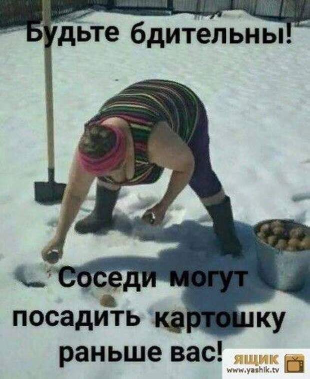 Инструкция на пакетиках