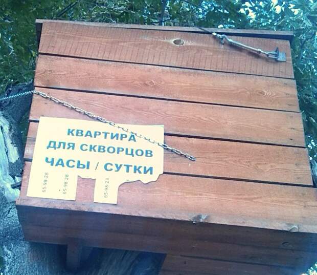 25 гениальных объявлений 2014 года объявления, смешно
