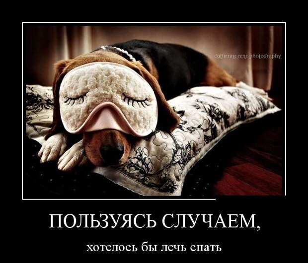 Демотиваторы демотиваторы, прикол, смех, юмор