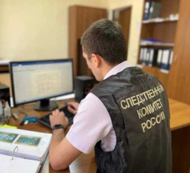 В центральный аппарат СК России затребован доклад в связи с публикацией о противоправных действиях гражданина иностранного государства в одном из населенных пунктов Тульской области