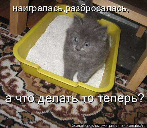 Мысли вслух :)