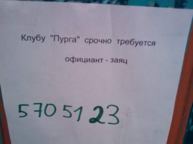 нестандартные объявления о работе