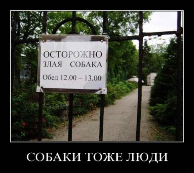 Демотиваторы приколы картинки, заряд отличного настроения!
