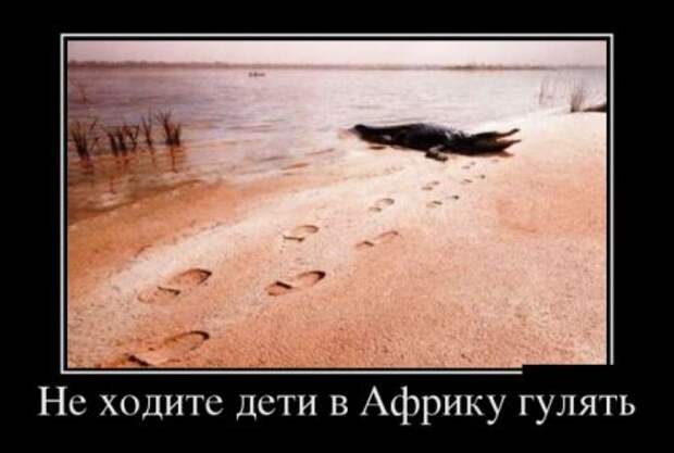Прикольные демотиваторы и всегда во время.