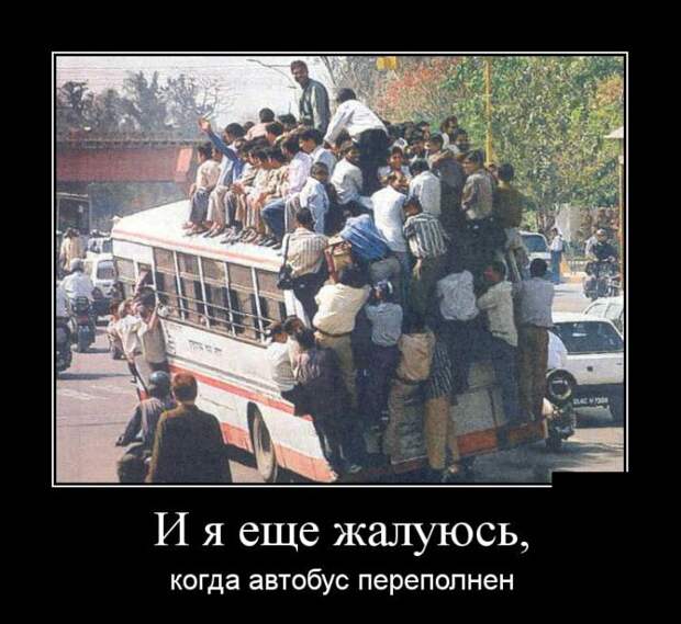 Демотиваторы бревно, демотиваторы, юмор