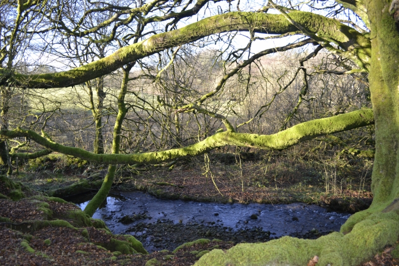 _DSC1110.JPG _DSC1110.JPG