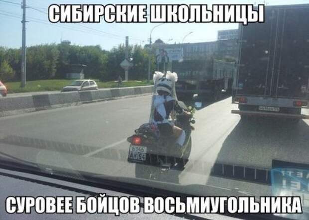 Небольшая подборка прикольных картинок (23 шт)