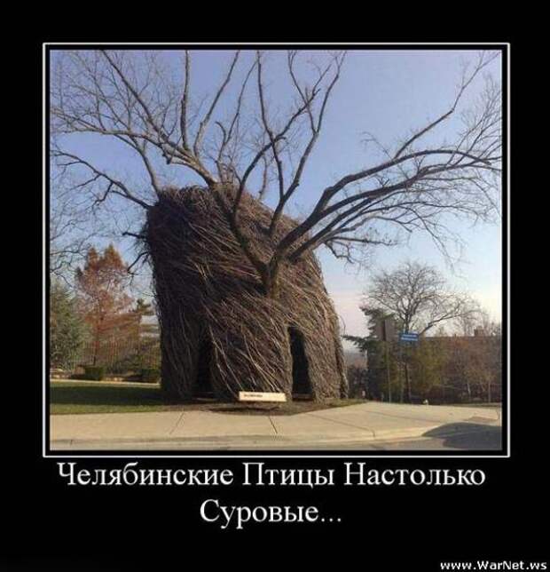 Демотиваторы