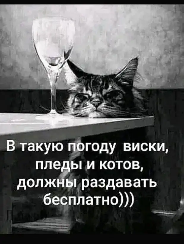 Загадайте двузначное число от 40 до 80. Умножьте на 3. Отнимите 11. Прибавьте 17, разделите на 2 и закройте глаза. Темно, правда? конечно, спрашивает, купишь, время, куплю, когданибудь, коров, сейчас, улетел, Голландию, мужик, называются, через, говорит, попробовали, сыном, довольная, банкир, Скажите, Буренка