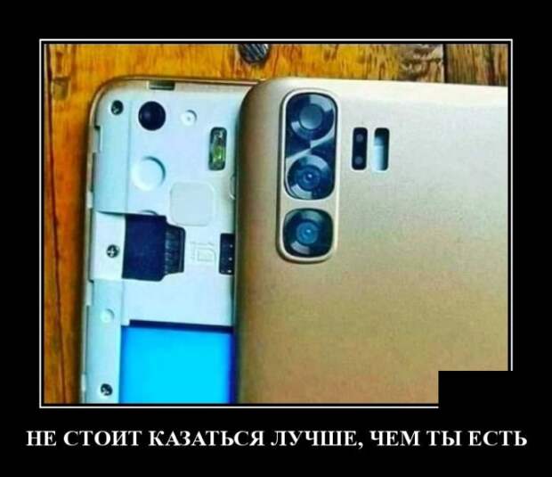 Демотиваторы (20 фото)