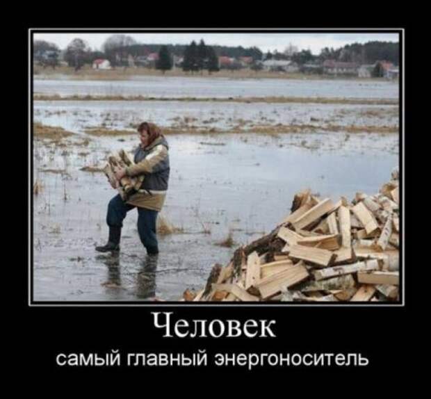Картинки демотиваторы с приколом.