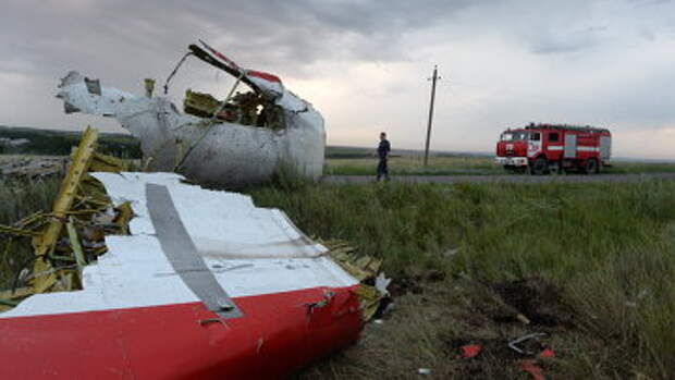 На месте крушения малайзийского самолета Boeing 777 в районе города Шахтерск Донецкой области. Архивное фото