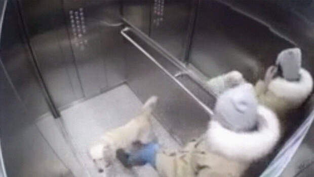 В Тюмени девушка избила свою собаку ногами по животу в лифте