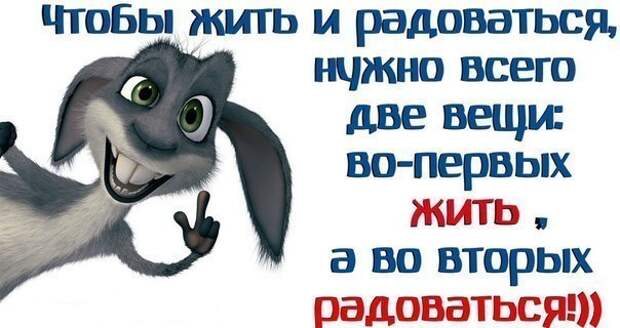 Веселые реальные истории из жизни.