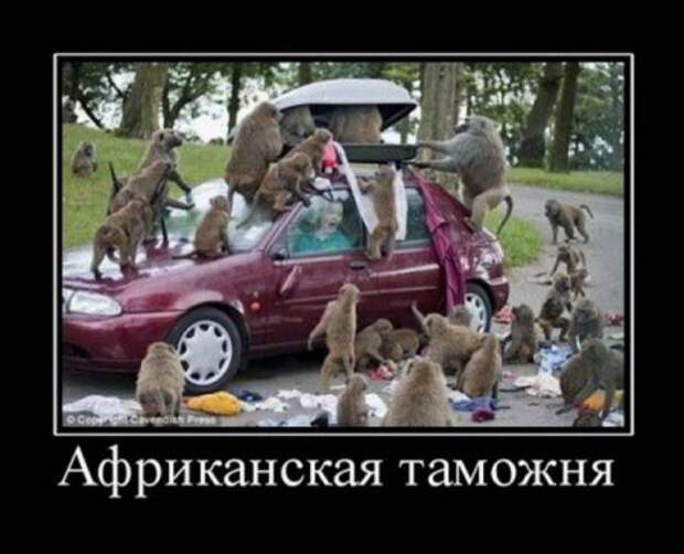 Демотиваторы смешные, юмор в тексте и фото.