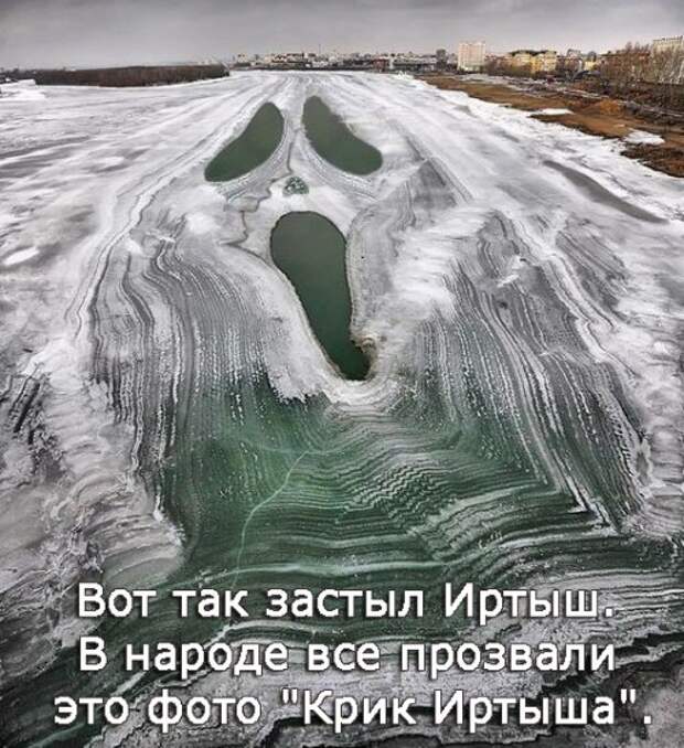 Прикольные фотомемы для хорошего настроения (35 шт)