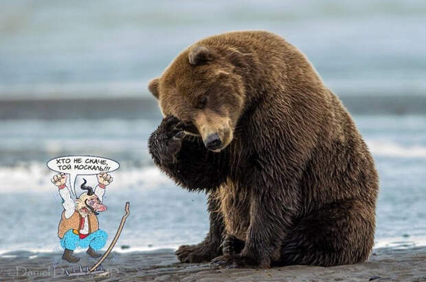 http://politikus.ru/uploads/posts/2014-05/1400526344_skachet.jpeg