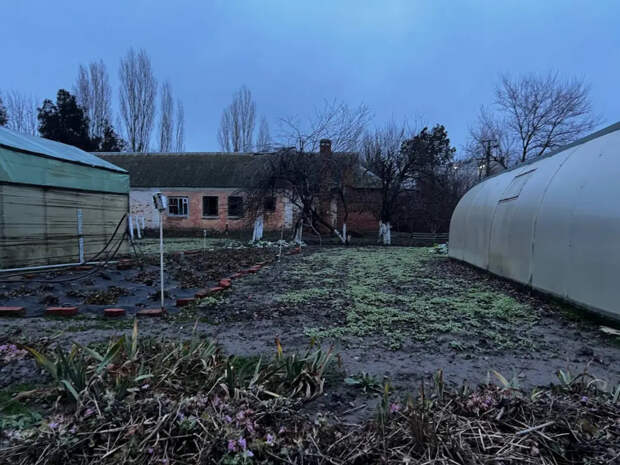 Снег в апреле — не повод для паники: план действий от профи, чтобы не остаться без урожая