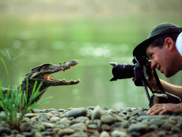 nature-photographers__880