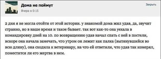 Свежие перлы из социальных сетей