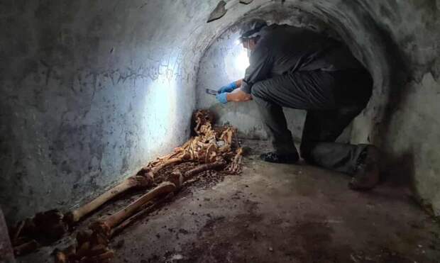 _археология_раб-1024x614 В Помпеях нашли остатки раба, который "сделал себя сам" и стал господином