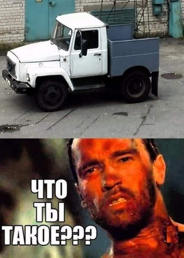 Что ты такое? (20 фото)