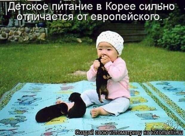 Подборка Котоматриц 2010 - Выпуск 28