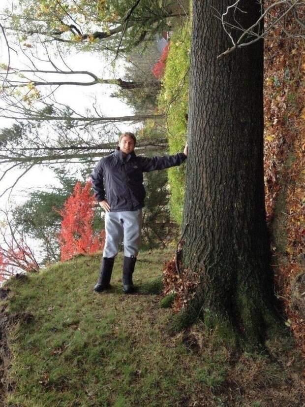 21. 21.
