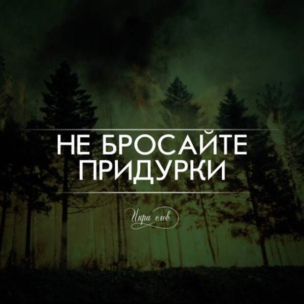 Игра слов (17 фото)