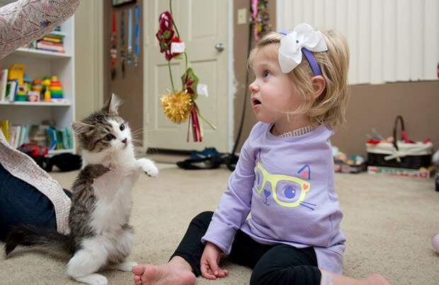 До слез: Девочка без руки и трехлапый котенок нашли друг друга девочка, инвалид, котенок, трогательное