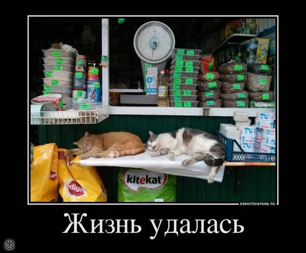 Утренняя зарядка демотиваторами 9