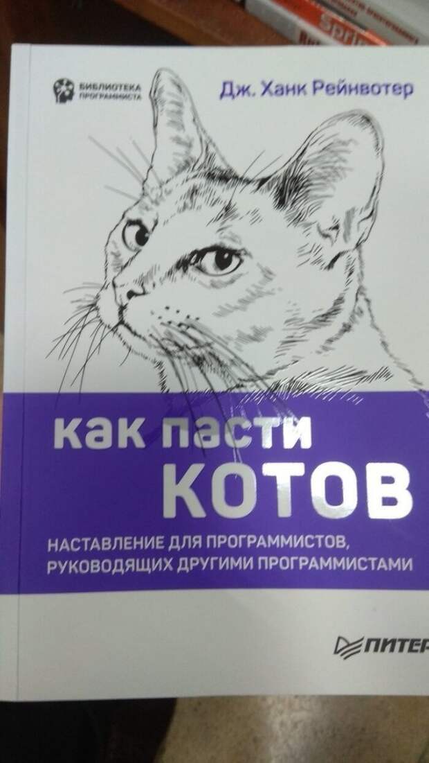 www.vsyako.net