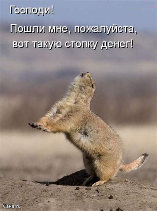 Утренний позитив!  28.08.2009