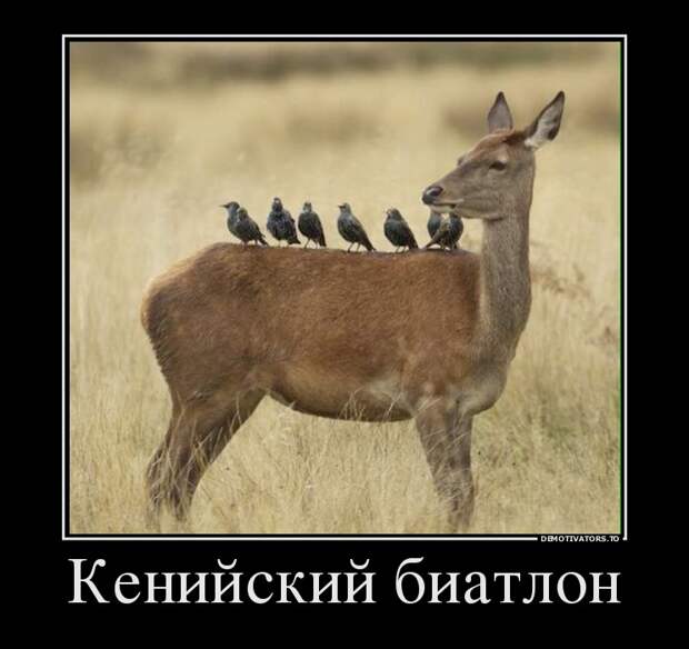 Демотиваторы демотиваторы, юмор