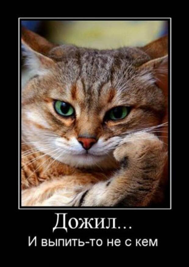 Демки, будет смешно!