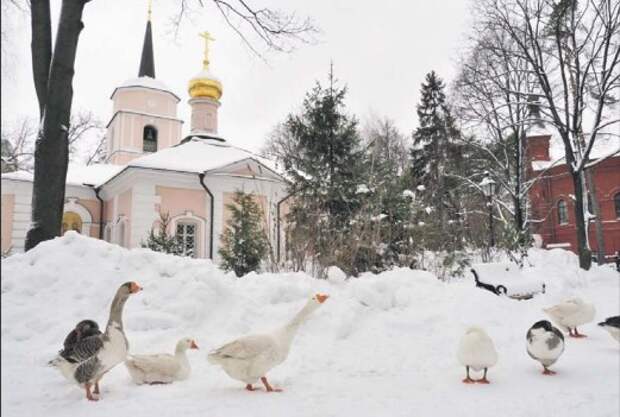 Фото: Ольга Чумаченко