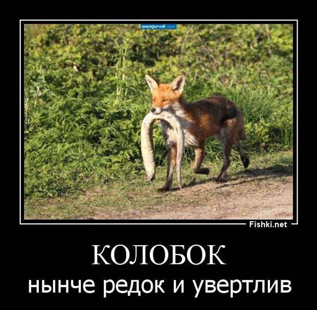 Демотиваторы демотиваторы, прикол, смех, юмор